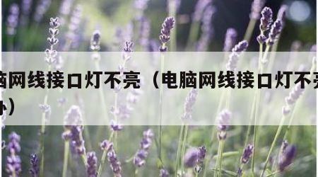 电脑网线接口灯不亮（电脑网线接口灯不亮怎么办）