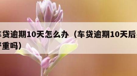 车贷逾期10天怎么办（车贷逾期10天后果严重吗）