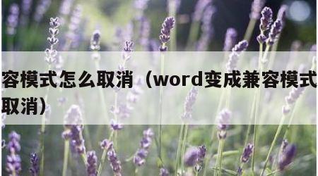 兼容模式怎么取消（word变成兼容模式怎么取消）