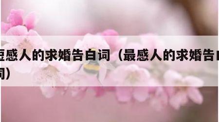 简短感人的求婚告白词（最感人的求婚告白简短词）