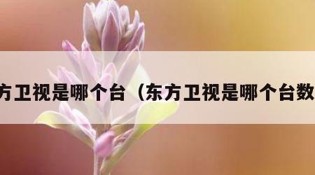 东方卫视是哪个台（东方卫视是哪个台数字）