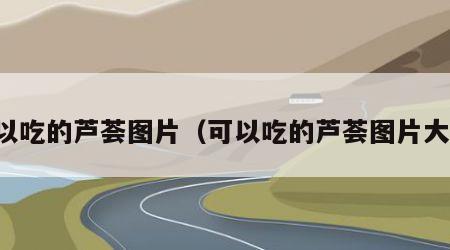可以吃的芦荟图片（可以吃的芦荟图片大全）