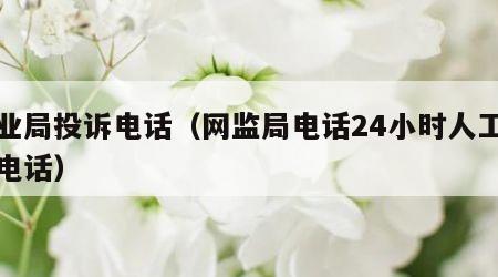 电业局投诉电话（网监局电话24小时人工服务电话）