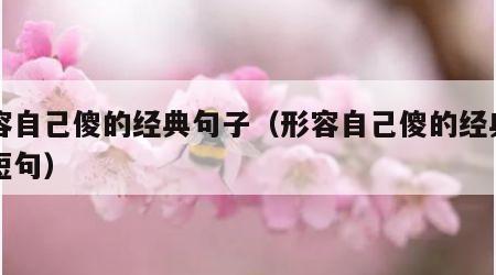 形容自己傻的经典句子（形容自己傻的经典句子短句）