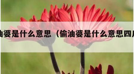 偷油婆是什么意思（偷油婆是什么意思四川话）