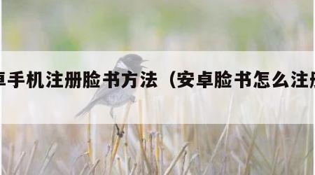 安卓手机注册脸书方法（安卓脸书怎么注册账号）