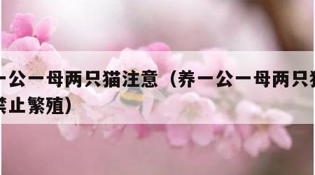 养一公一母两只猫注意（养一公一母两只猫怎么禁止繁殖）