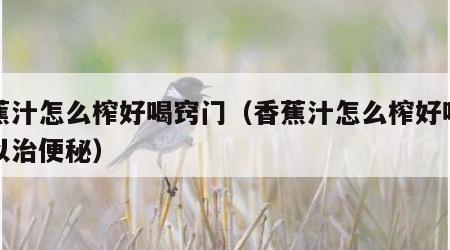 香蕉汁怎么榨好喝窍门（香蕉汁怎么榨好喝又可以治便秘）