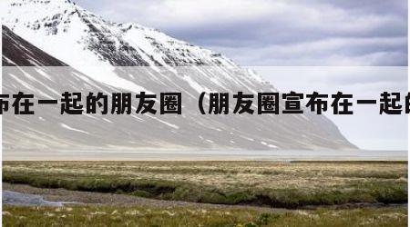 宣布在一起的朋友圈（朋友圈宣布在一起的句子）