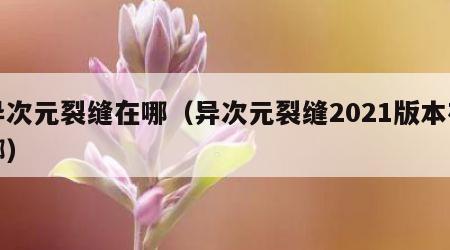 异次元裂缝在哪（异次元裂缝2021版本在哪）