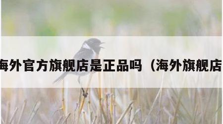 海外官方旗舰店是正品吗（海外旗舰店）