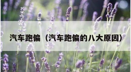 汽车跑偏（汽车跑偏的八大原因）
