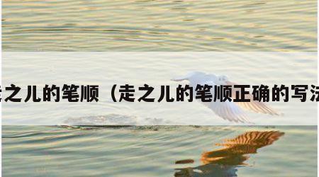 走之儿的笔顺（走之儿的笔顺正确的写法）