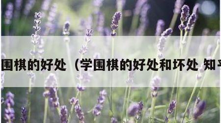 学围棋的好处（学围棋的好处和坏处 知乎）