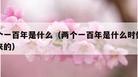 两个一百年是什么（两个一百年是什么时候提出来的）
