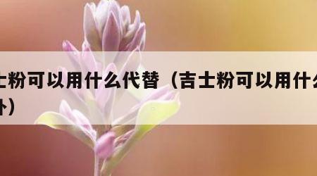 吉士粉可以用什么代替（吉士粉可以用什么代替补）