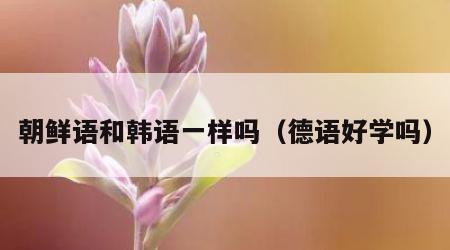 朝鲜语和韩语一样吗（德语好学吗）