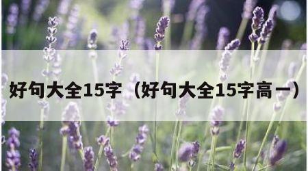 好句大全15字（好句大全15字高一）