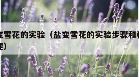 盐变雪花的实验（盐变雪花的实验步骤和科学道理）