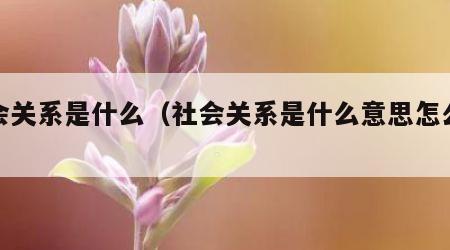 社会关系是什么（社会关系是什么意思怎么填）