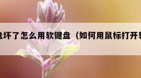 键盘坏了怎么用软键盘（如何用鼠标打开软键盘）