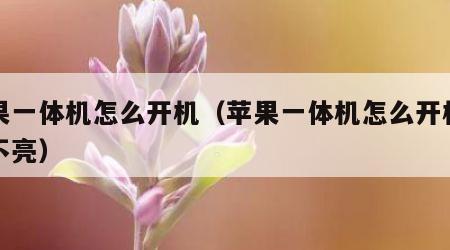 苹果一体机怎么开机（苹果一体机怎么开机屏幕不亮）