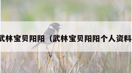 武林宝贝阳阳（武林宝贝阳阳个人资料）