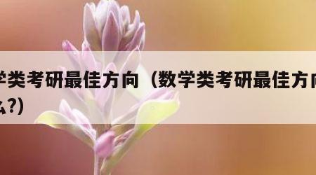 数学类考研最佳方向（数学类考研最佳方向是什么?）