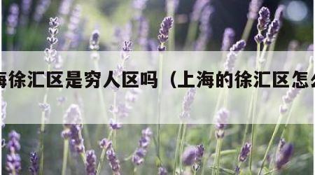 上海徐汇区是穷人区吗（上海的徐汇区怎么样）