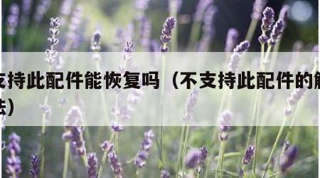 不支持此配件能恢复吗（不支持此配件的解决办法）