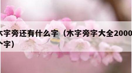 木字旁还有什么字（木字旁字大全20000个字）