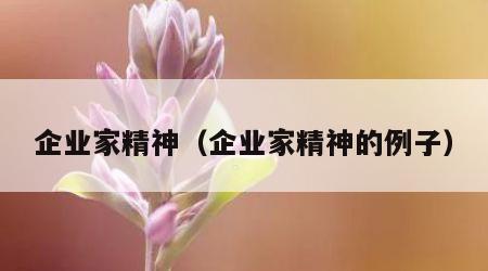 企业家精神（企业家精神的例子）