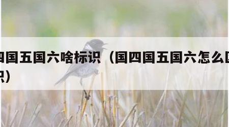 国四国五国六啥标识（国四国五国六怎么区分标识）