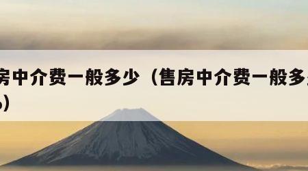 售房中介费一般多少（售房中介费一般多少05%）