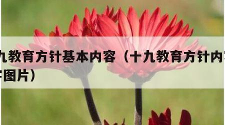 十九教育方针基本内容（十九教育方针内容54字图片）