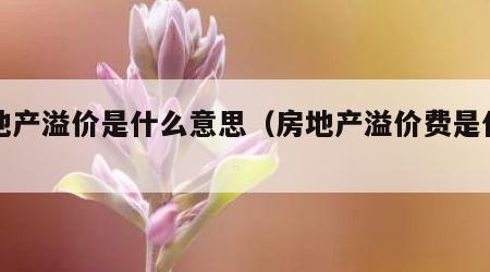 房地产溢价是什么意思（房地产溢价费是什么）