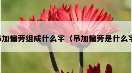 吊加偏旁组成什么字（吊加偏旁是什么字）