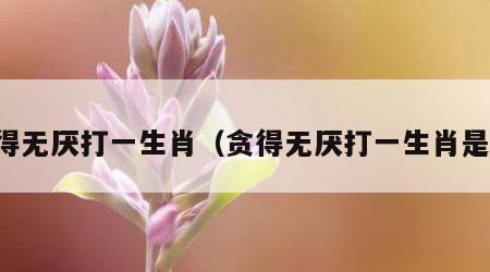 贪得无厌打一生肖（贪得无厌打一生肖是龙）