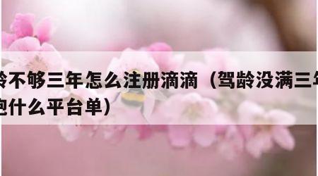 驾龄不够三年怎么注册滴滴（驾龄没满三年可以跑什么平台单）