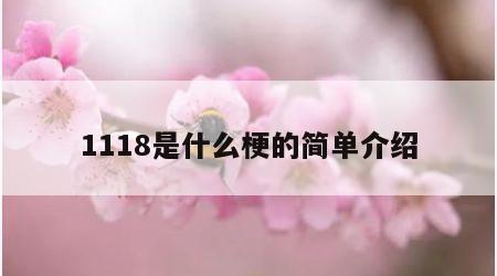 1118是什么梗的简单介绍