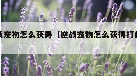 逆战宠物怎么获得（逆战宠物怎么获得打什么图）