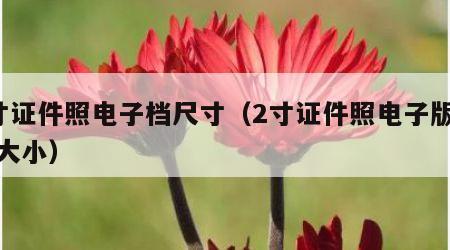 2寸证件照电子档尺寸（2寸证件照电子版尺寸大小）