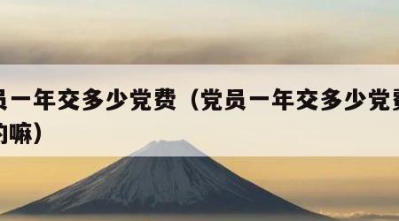 党员一年交多少党费（党员一年交多少党费会退的嘛）