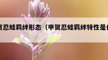 甲贺忍蛙羁绊形态（甲贺忍蛙羁绊特性是什么）