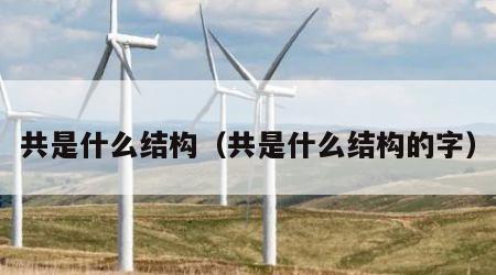 共是什么结构（共是什么结构的字）