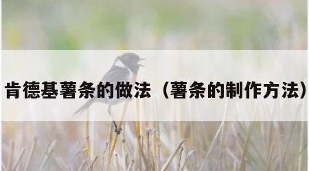 肯德基薯条的做法（薯条的制作方法）