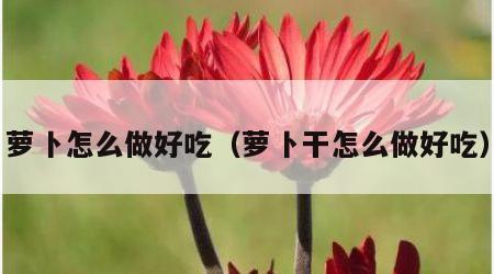 萝卜怎么做好吃（萝卜干怎么做好吃）