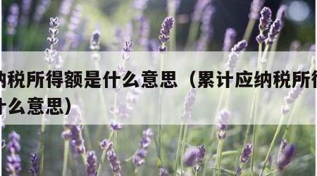 应纳税所得额是什么意思（累计应纳税所得额是什么意思）