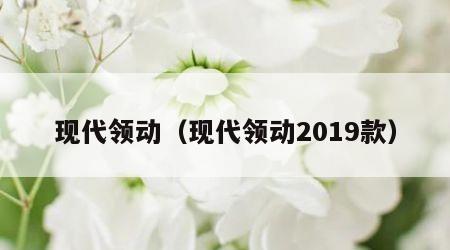 现代领动（现代领动2019款）