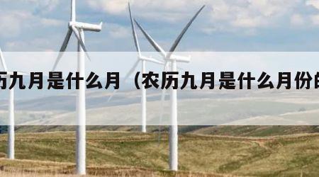 农历九月是什么月（农历九月是什么月份的生肖）
